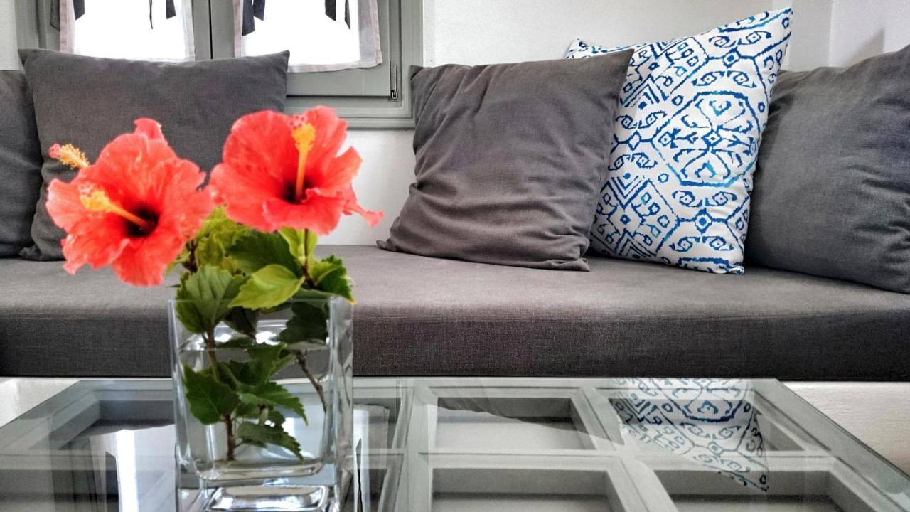 Apartment Anima