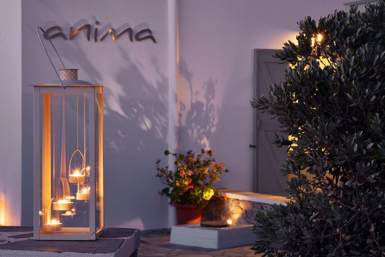 Anima Apartament